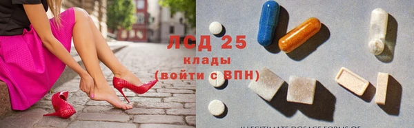 стаф Надым