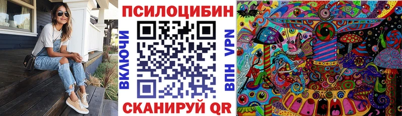 Псилоцибиновые грибы Psilocybine cubensis  где можно купить   ОМГ ОМГ маркетплейс  Серпухов 