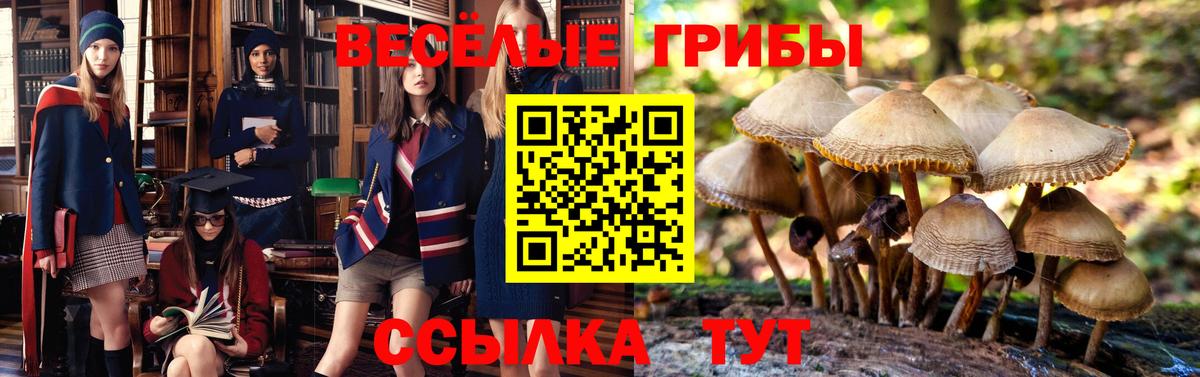 Галлюциногенные грибы Magic Shrooms  Псилоцибиновые грибы Cubensis  Серпухов  Вход с VPN 