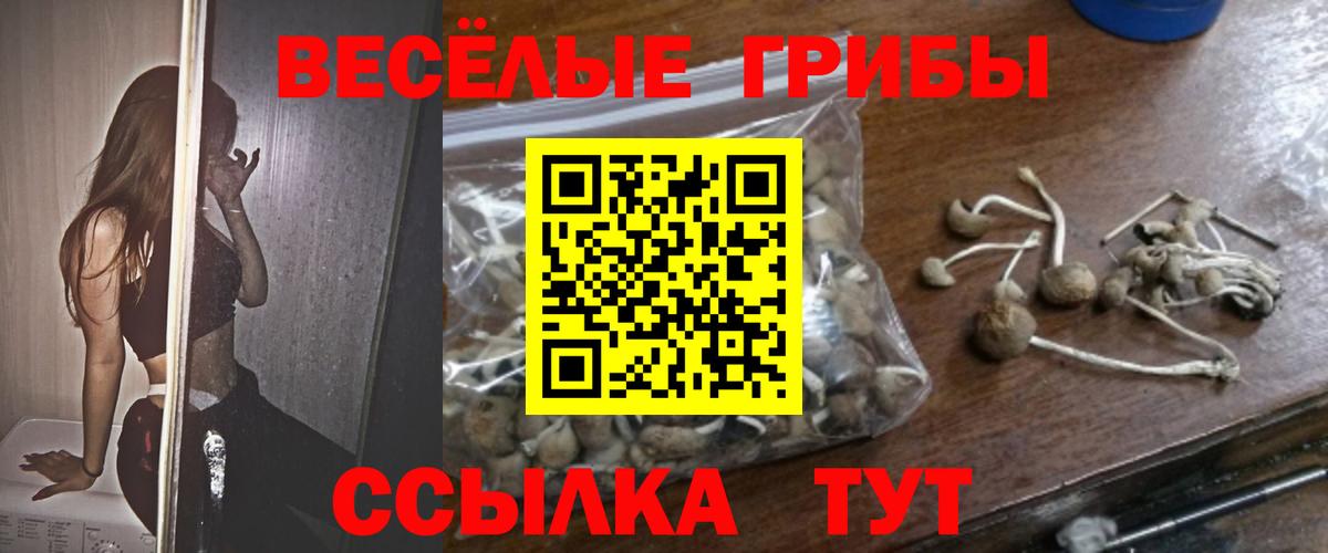 Псилоцибиновые грибы Psilocybe Серпухов